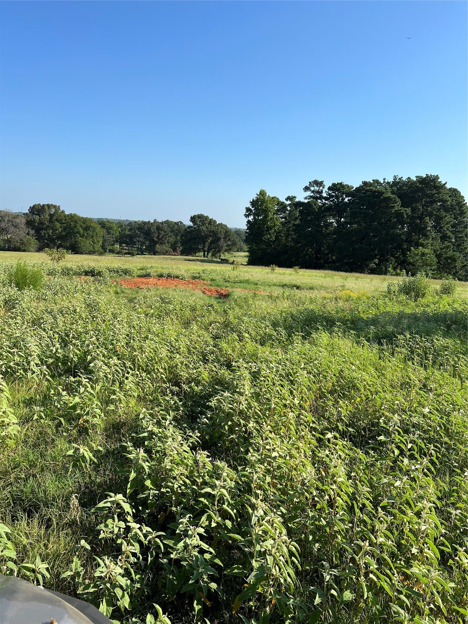 46.89 acres in Smith County - photo 10