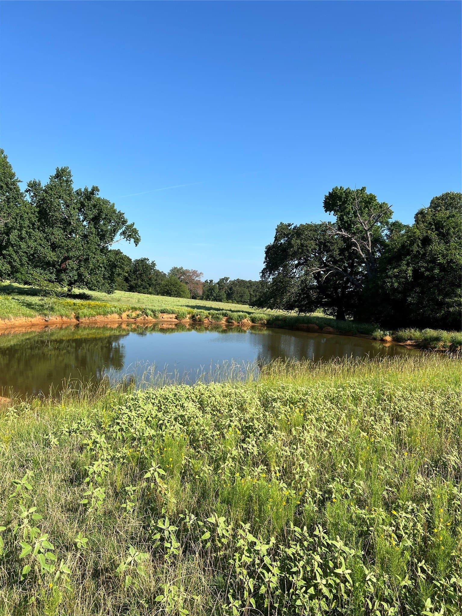 46.89 acres in Smith County - photo 19