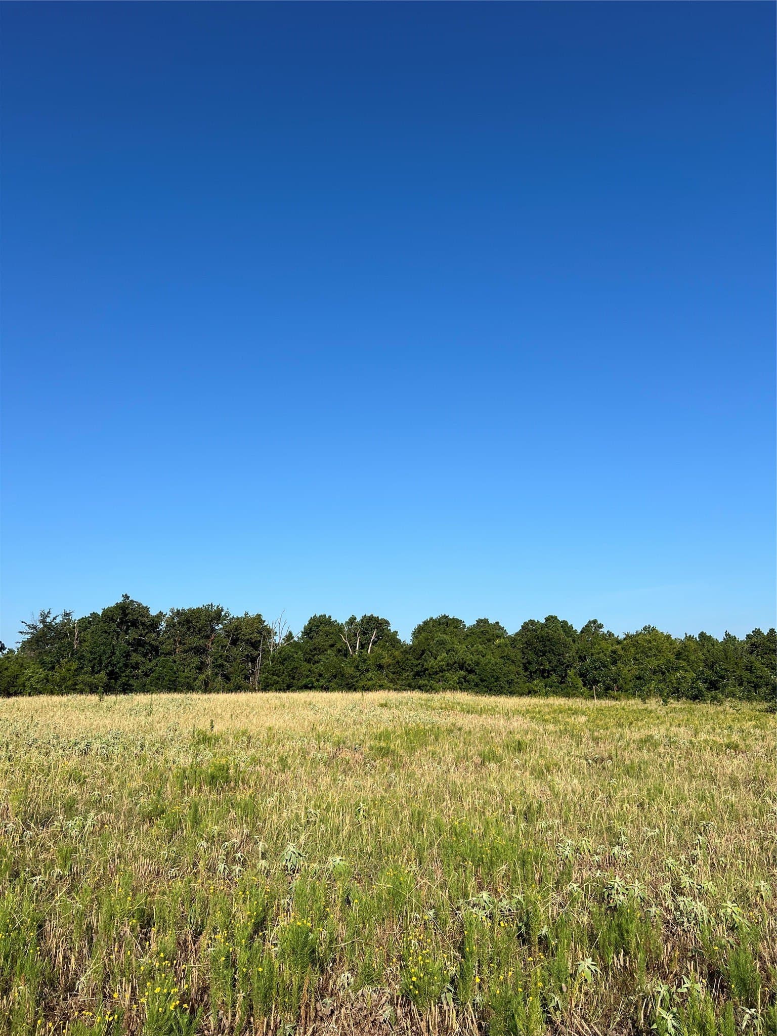46.89 acres in Smith County - photo 8