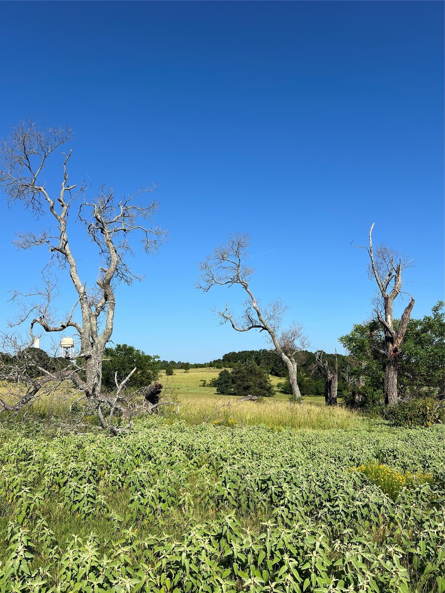46.89 acres in Smith County - photo 14