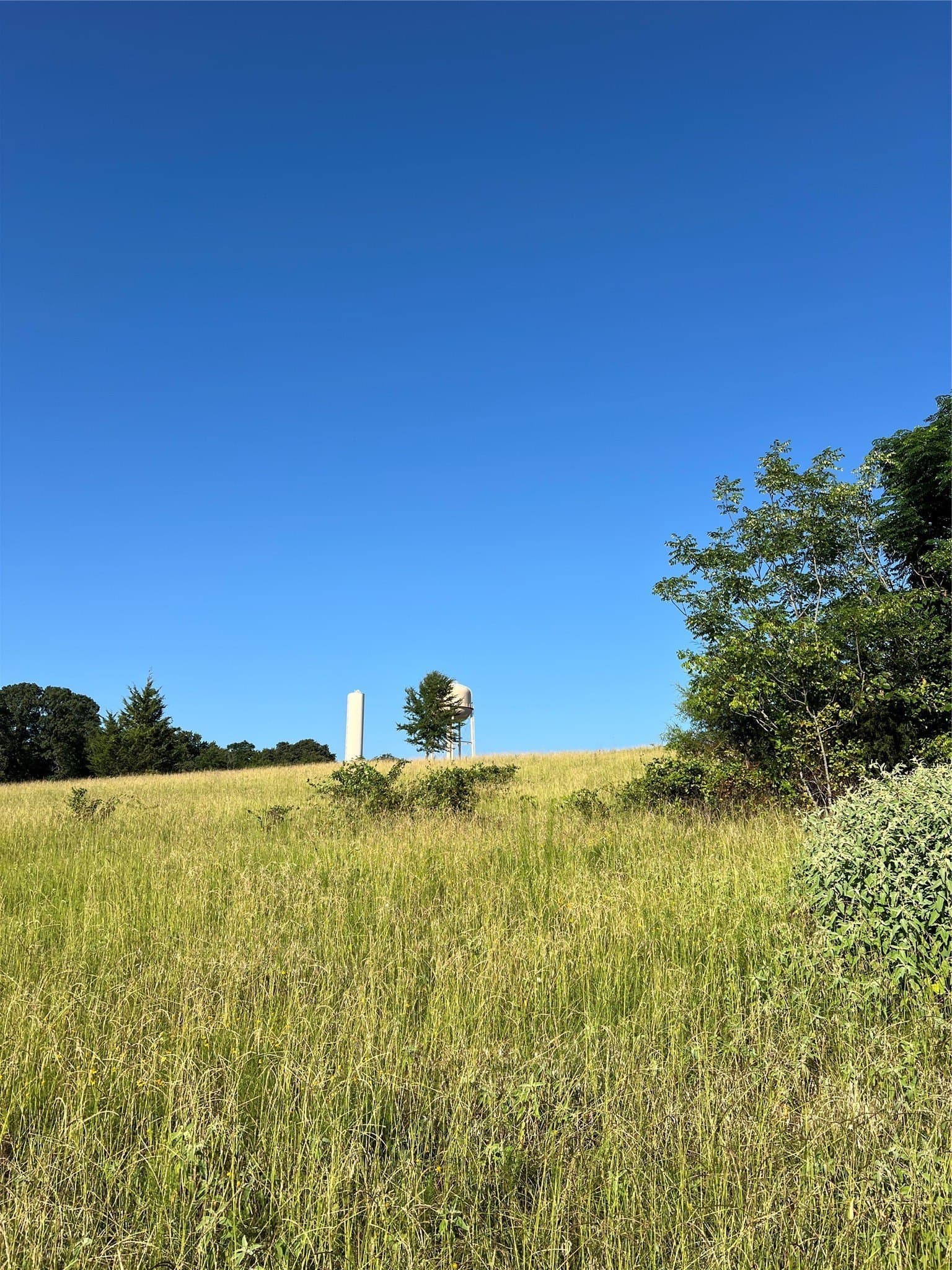 46.89 acres in Smith County - photo 4