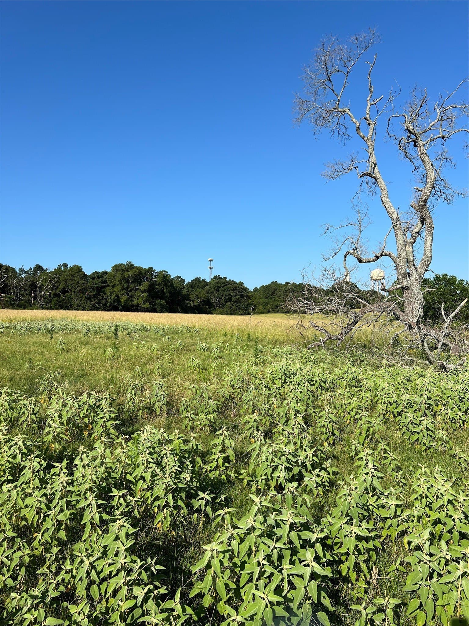 46.89 acres in Smith County - photo 12