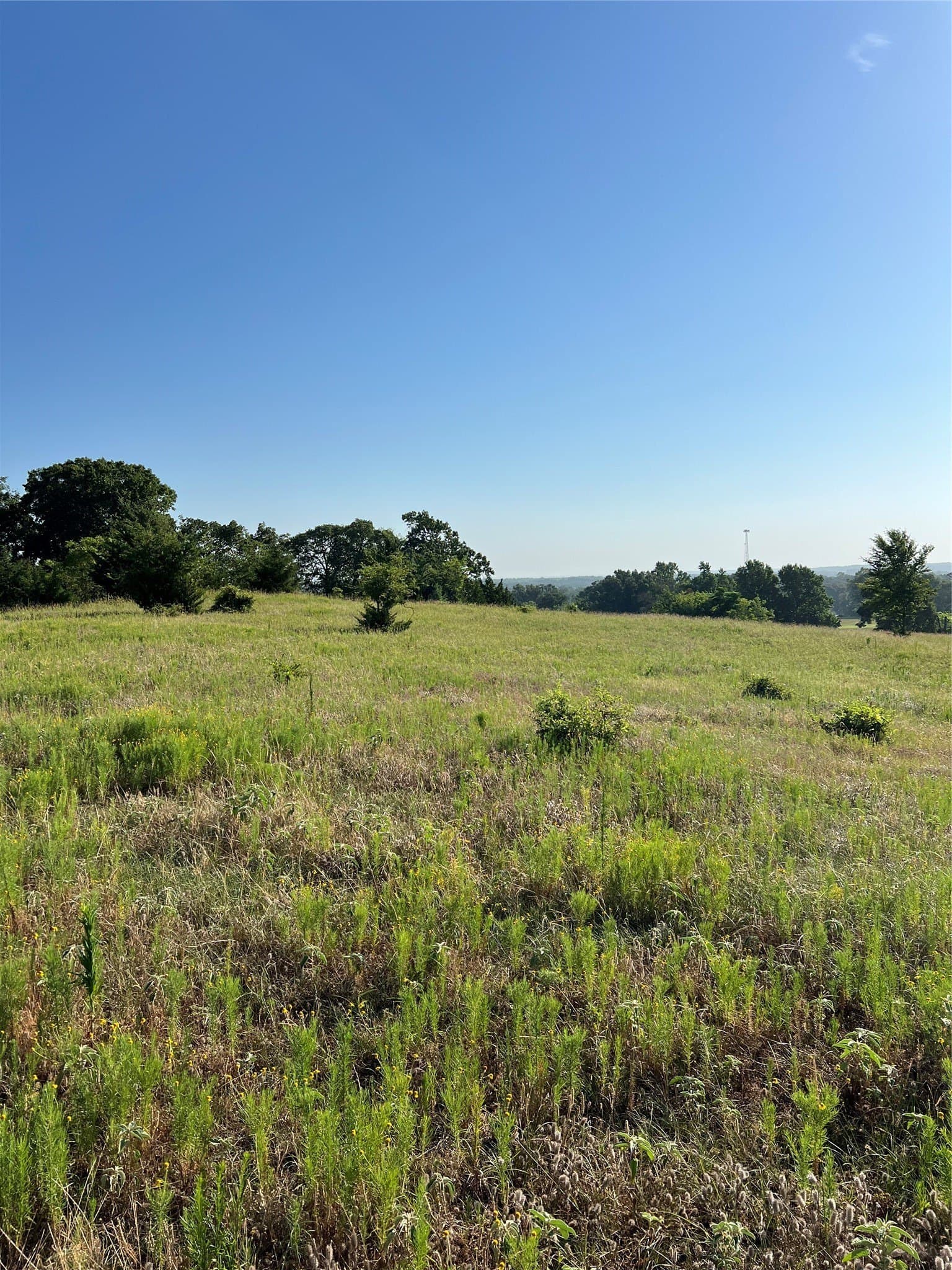 46.89 acres in Smith County - photo 2