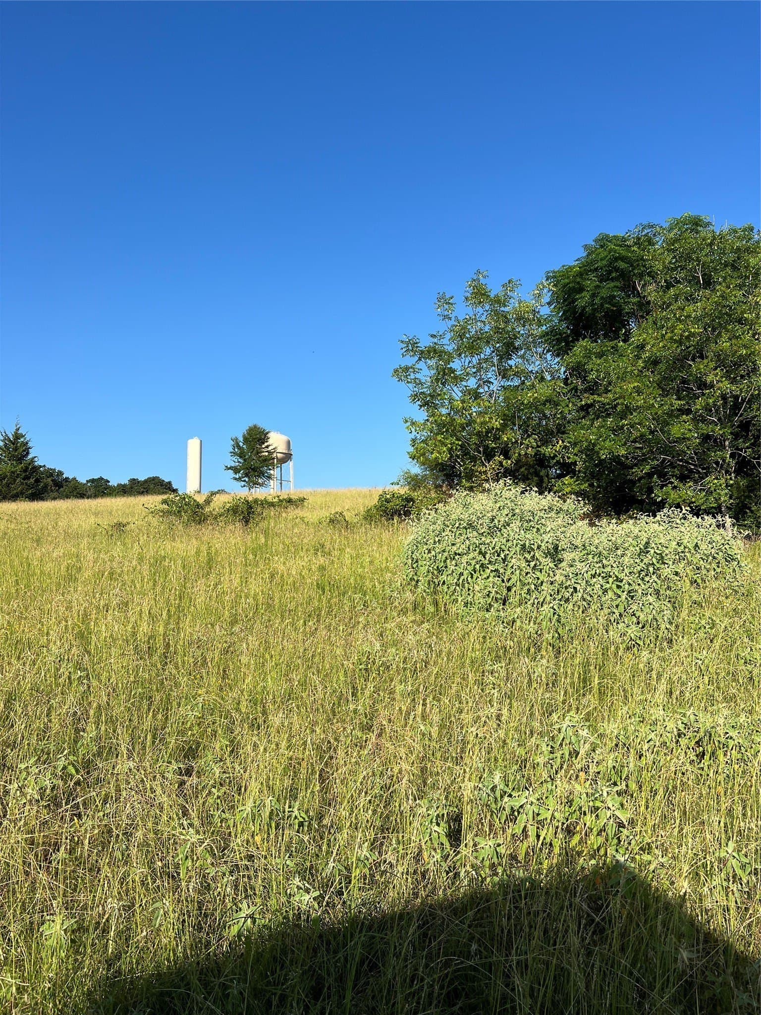 46.89 acres in Smith County - photo 3