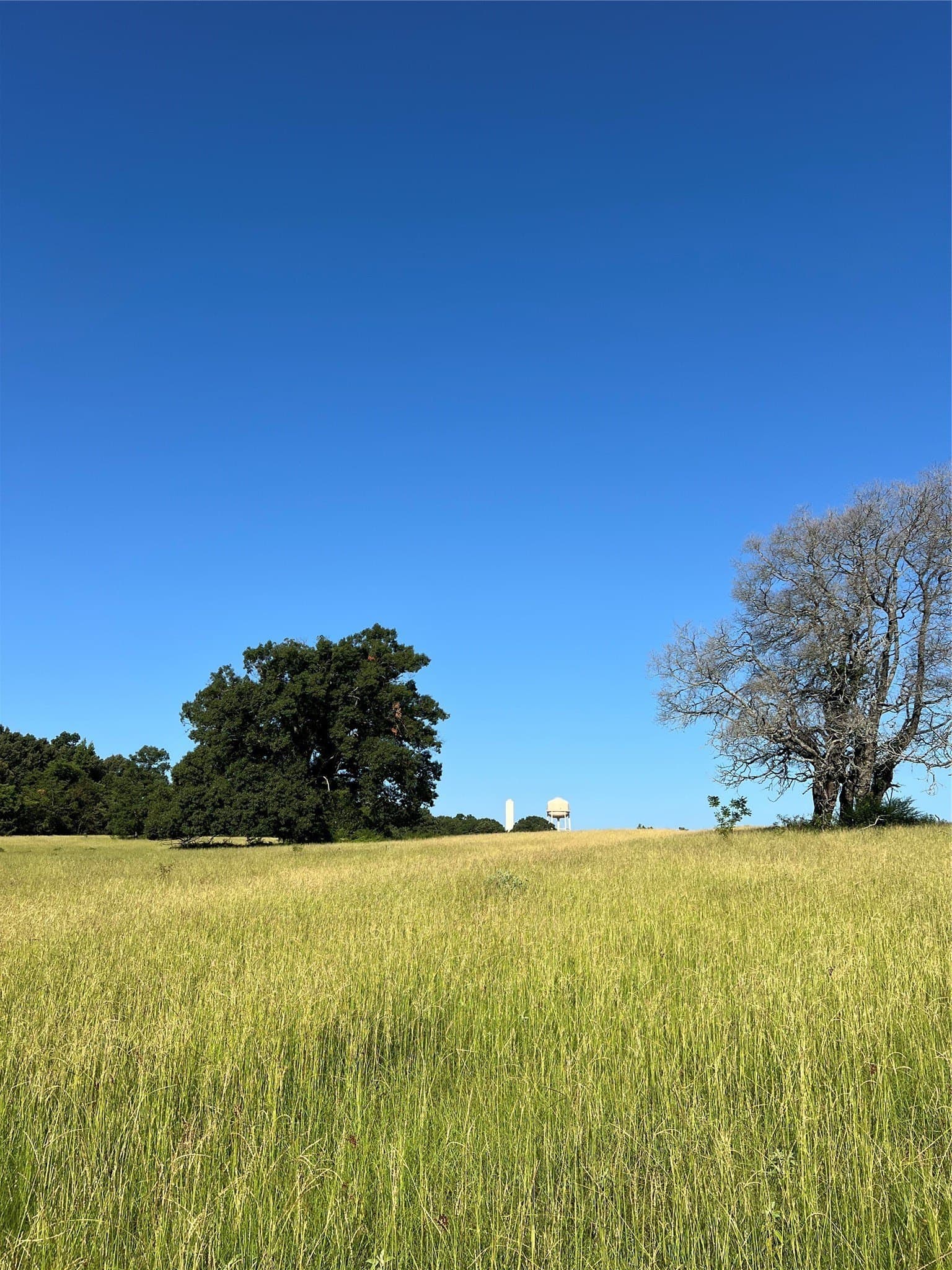 46.89 acres in Smith County - photo 16