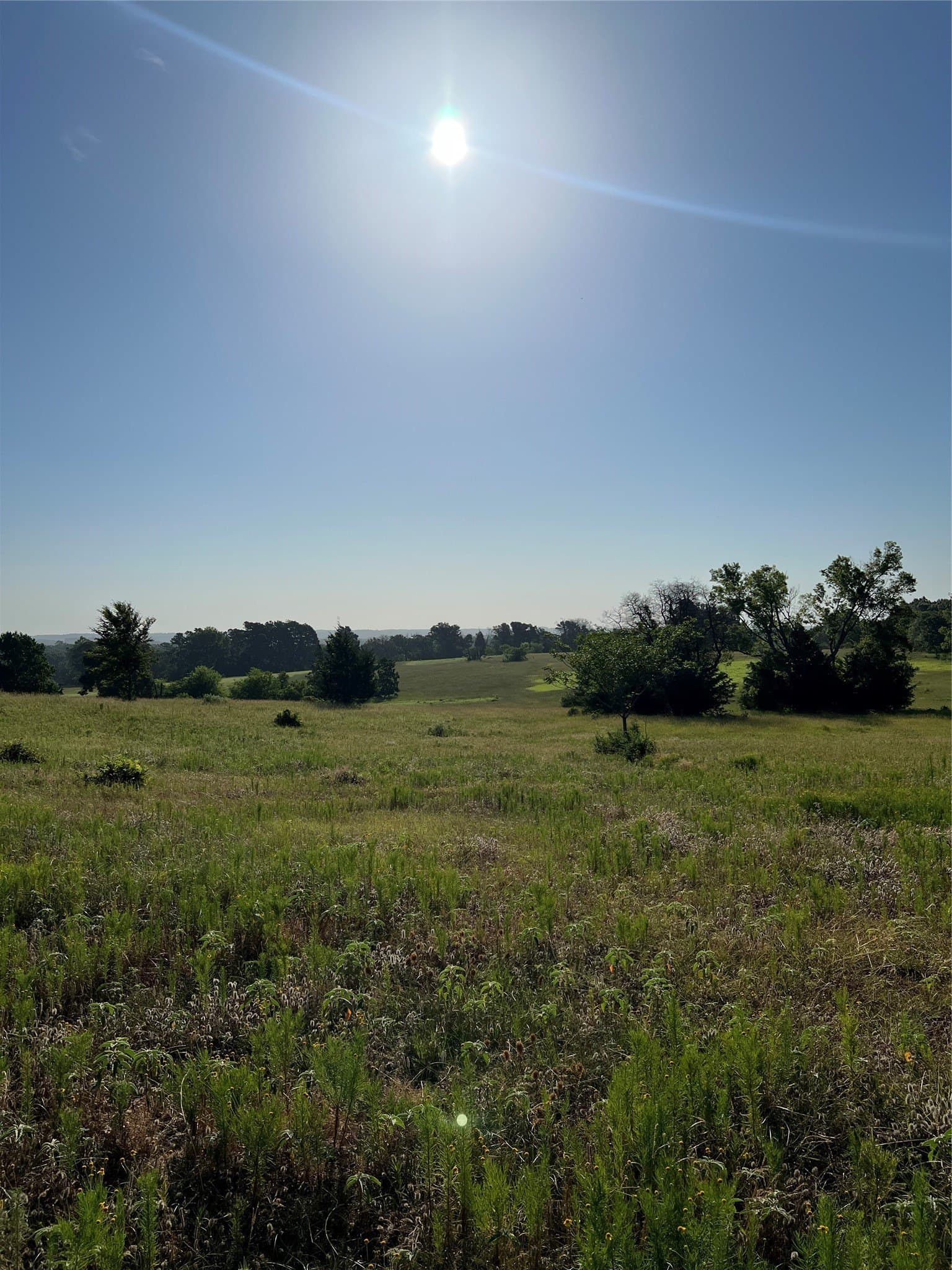 46.89 acres in Smith County