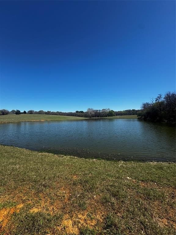 50.03 acres in Henderson County gallery image 2