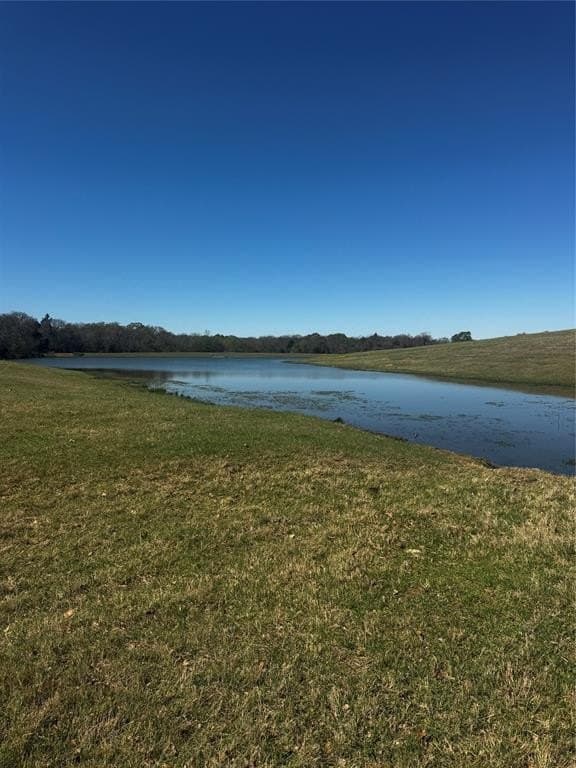 50.03 acres in Henderson County gallery image 3