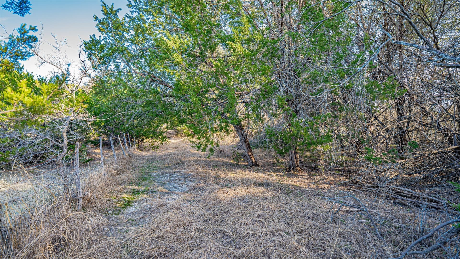 15.39 acres in Somervell County - photo 19