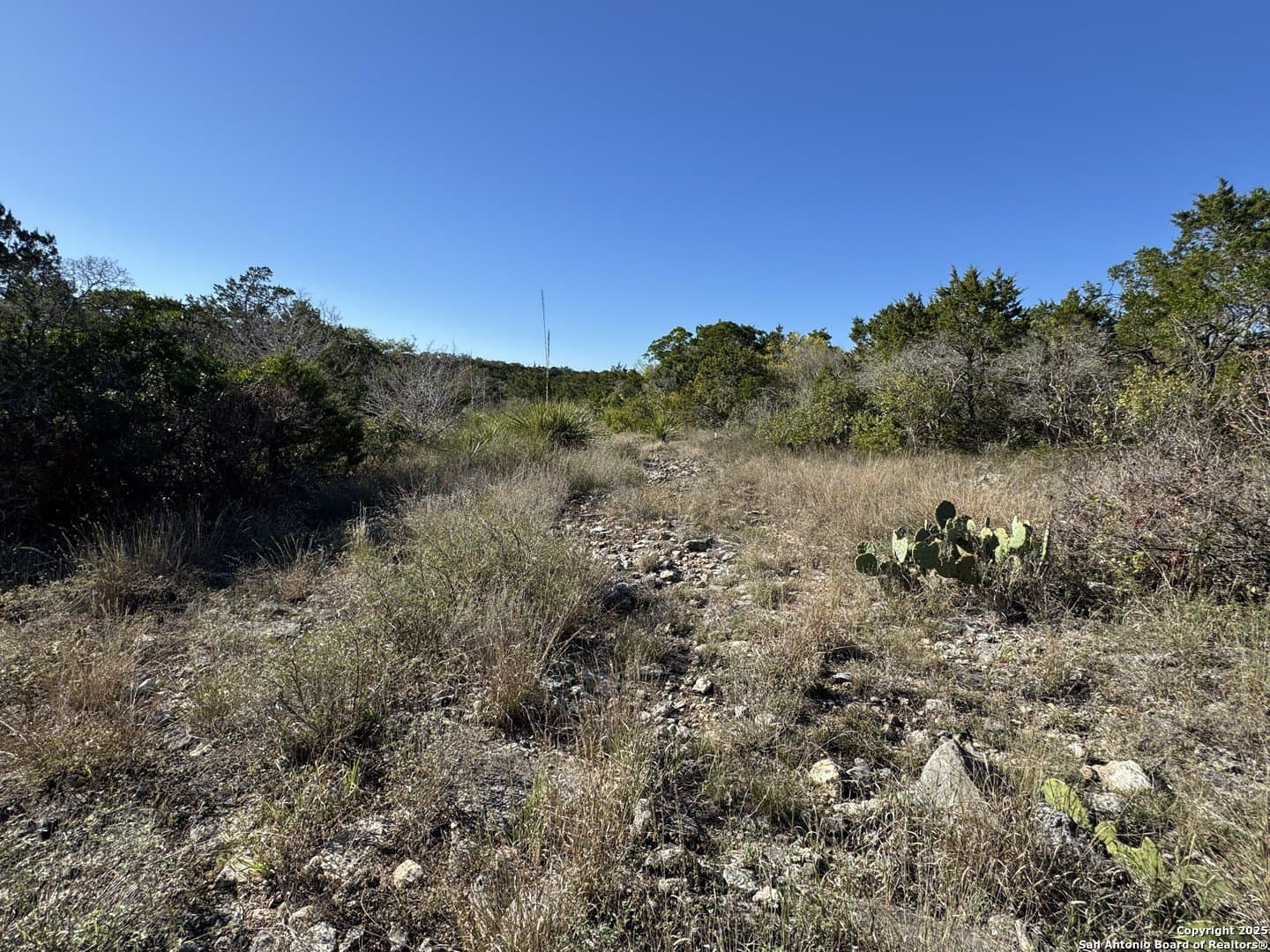 2.39 acres in Medina County - photo 9