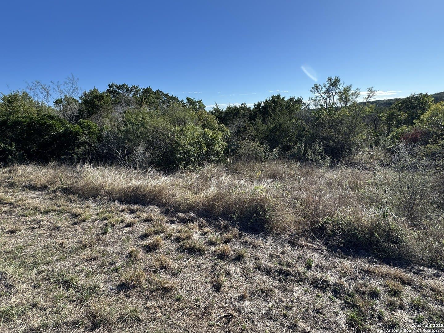2.39 acres in Medina County - photo 15