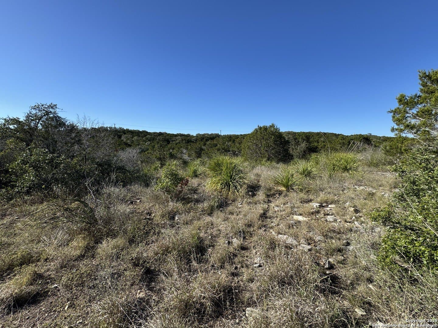 2.39 acres in Medina County - photo 13