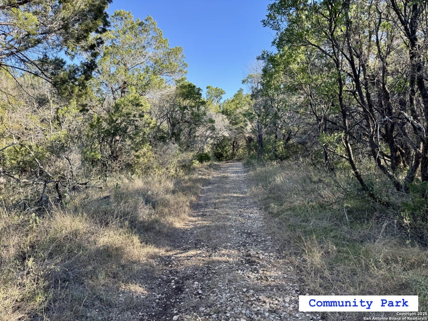 2.39 acres in Medina County - photo 16
