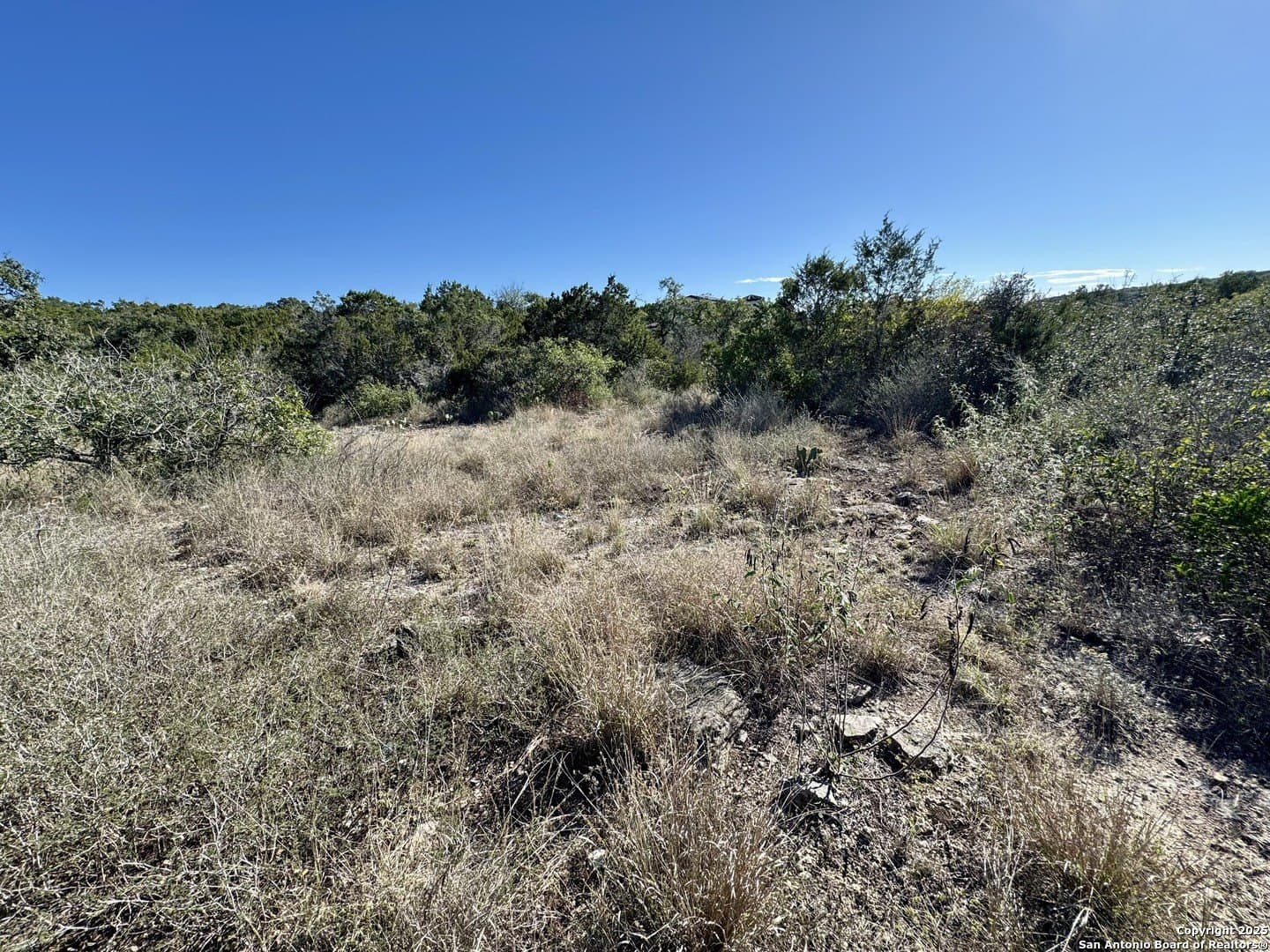 2.39 acres in Medina County gallery image 4