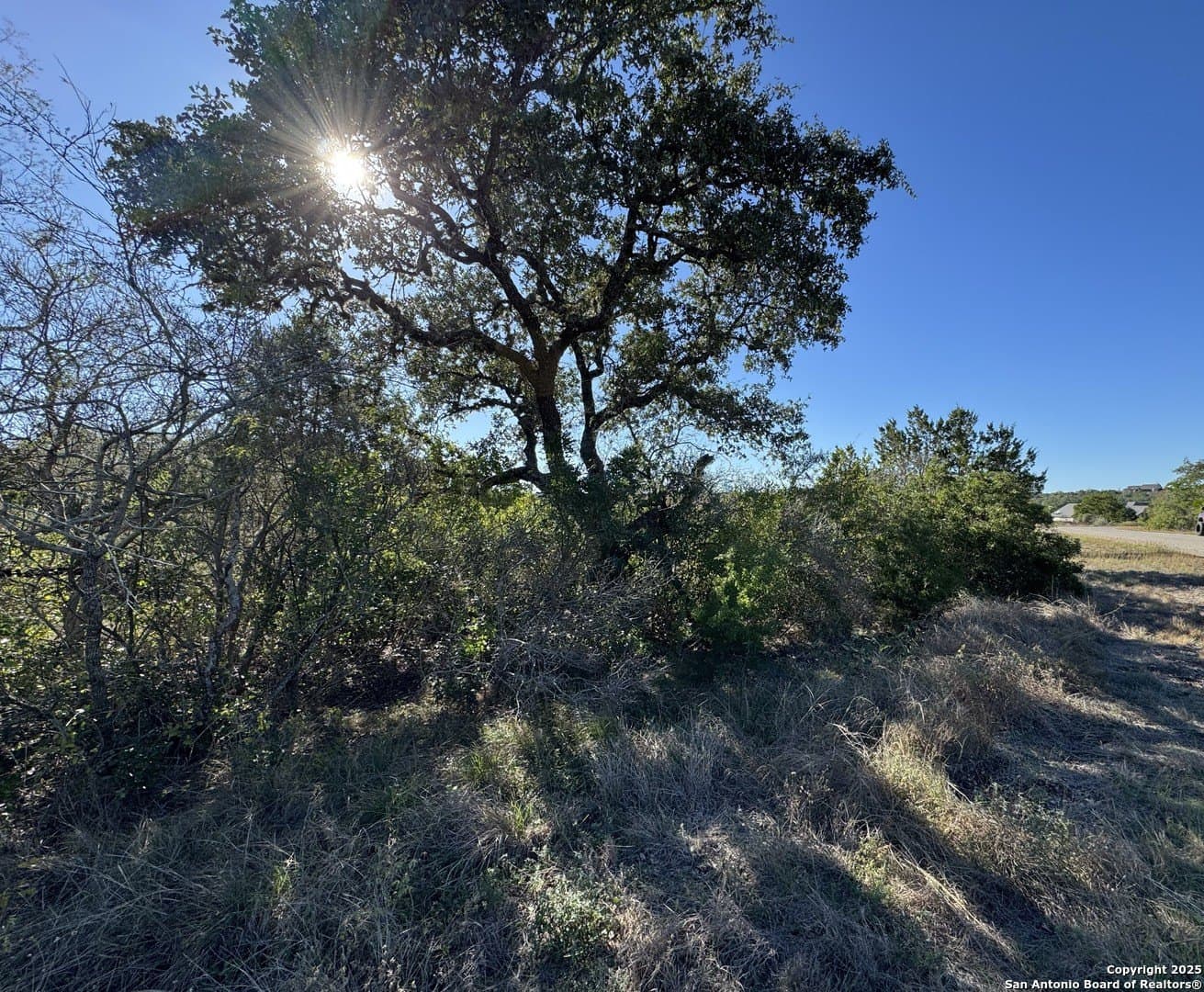 2.39 acres in Medina County gallery image 3