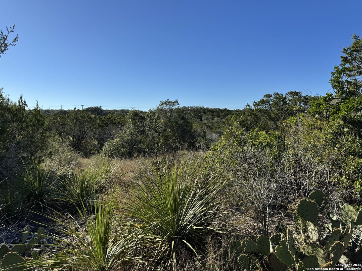 2.39 acres in Medina County - photo 12