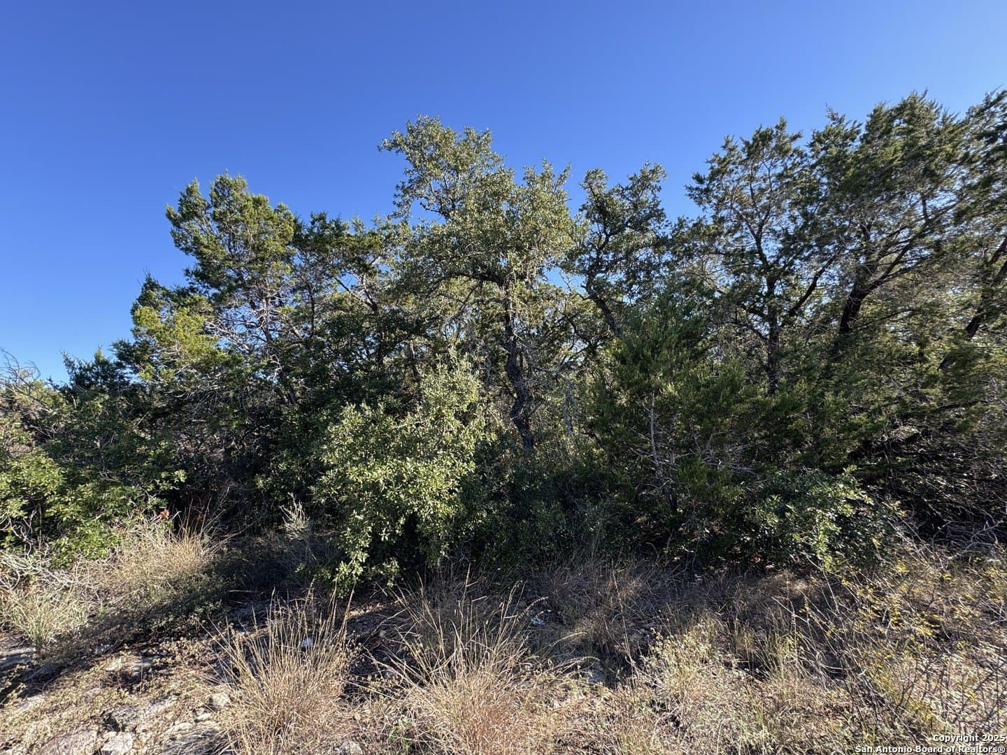 2.39 acres in Medina County - photo 10