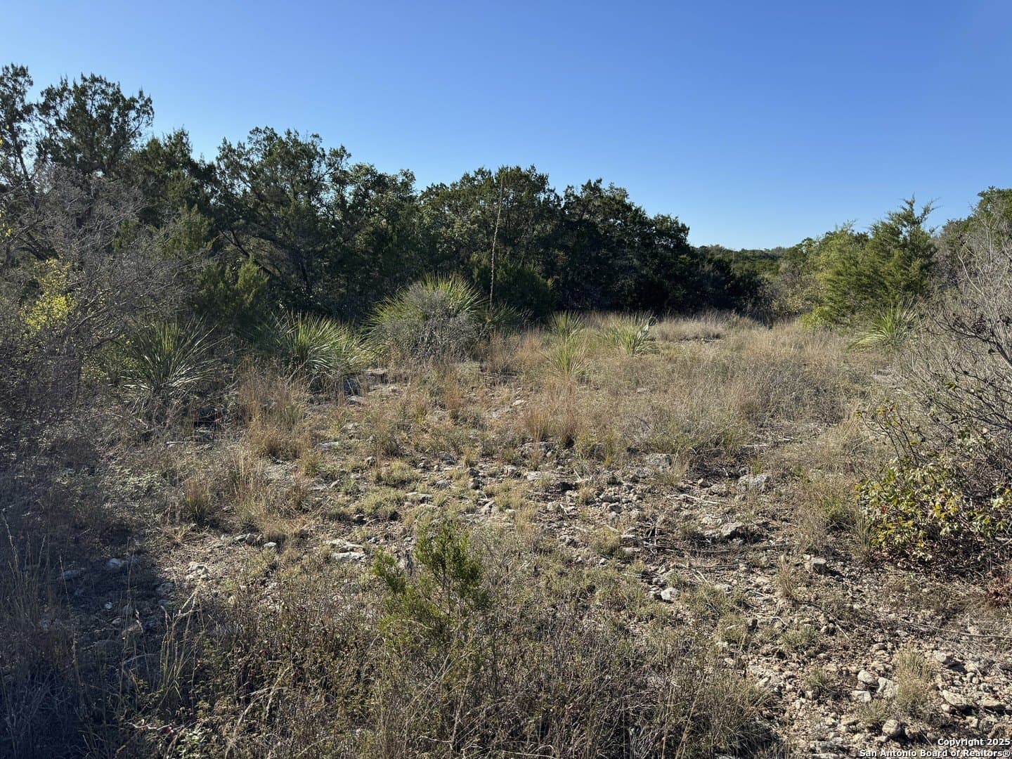 2.39 acres in Medina County - photo 7