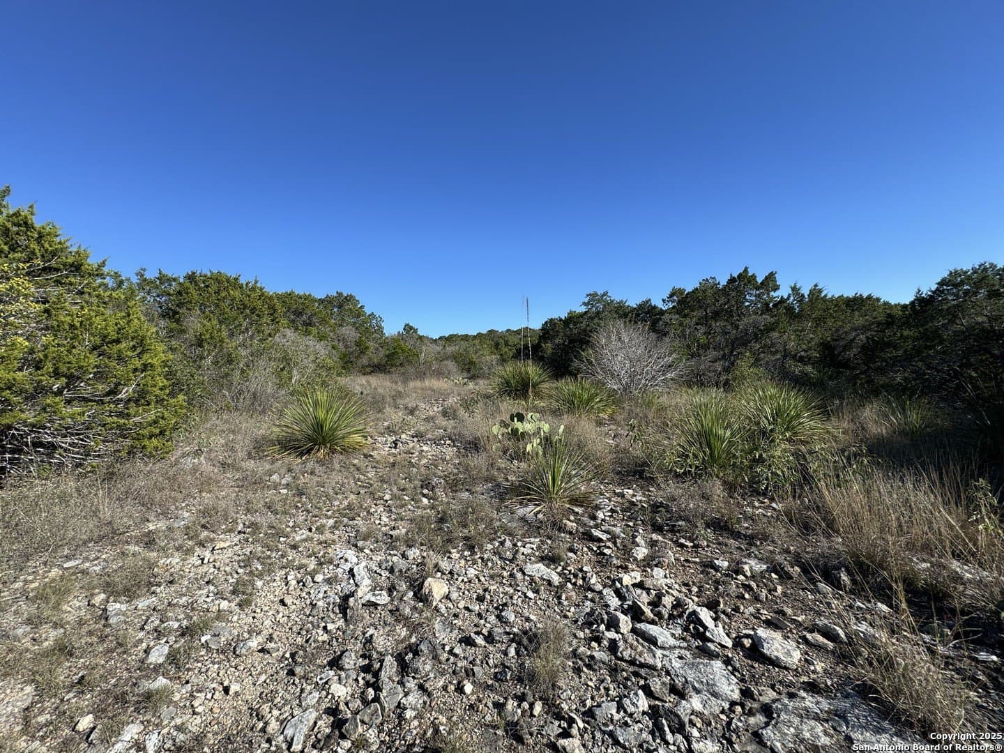 2.39 acres in Medina County - photo 11