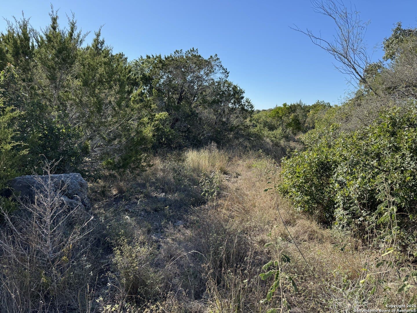 2.39 acres in Medina County gallery image 2