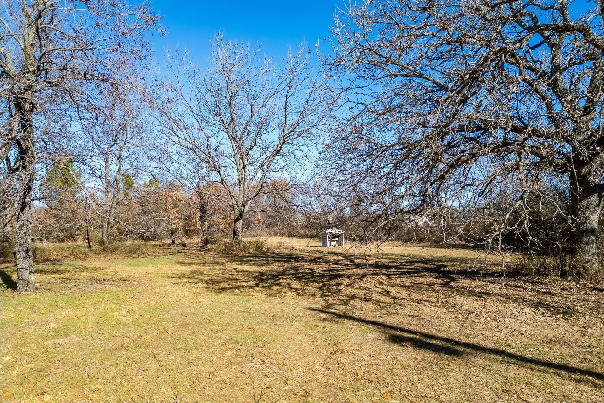 0.64 acres in Callahan County - photo 6