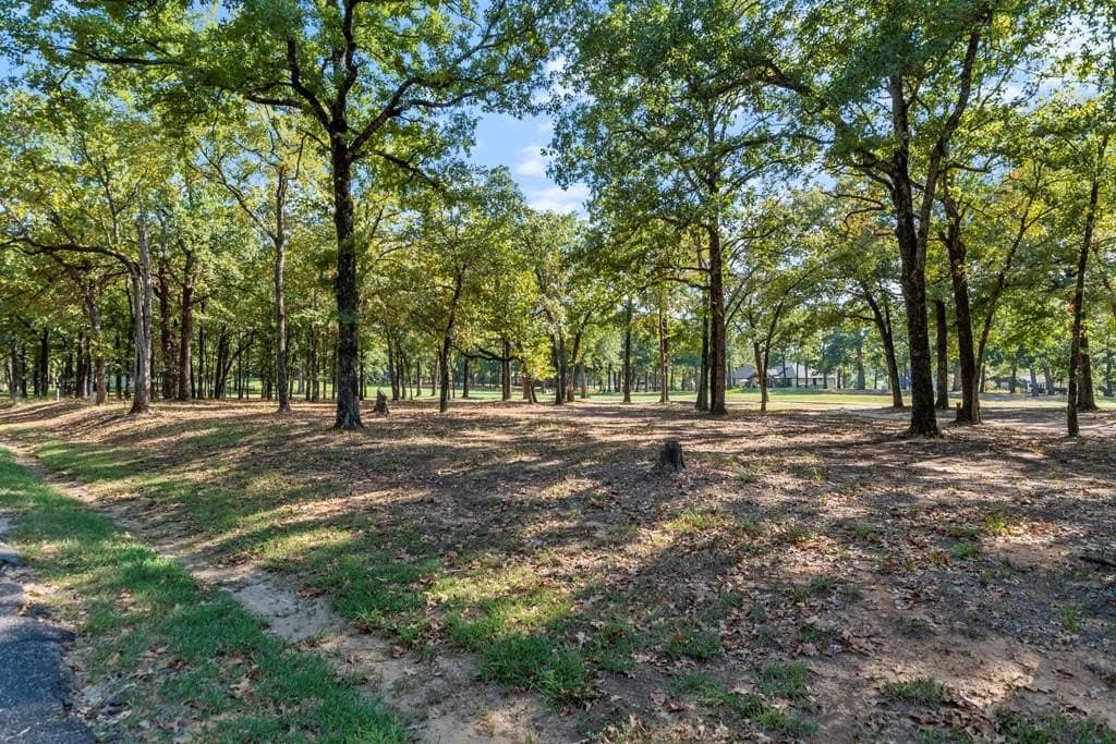 0.26 acres in Henderson County gallery image 3