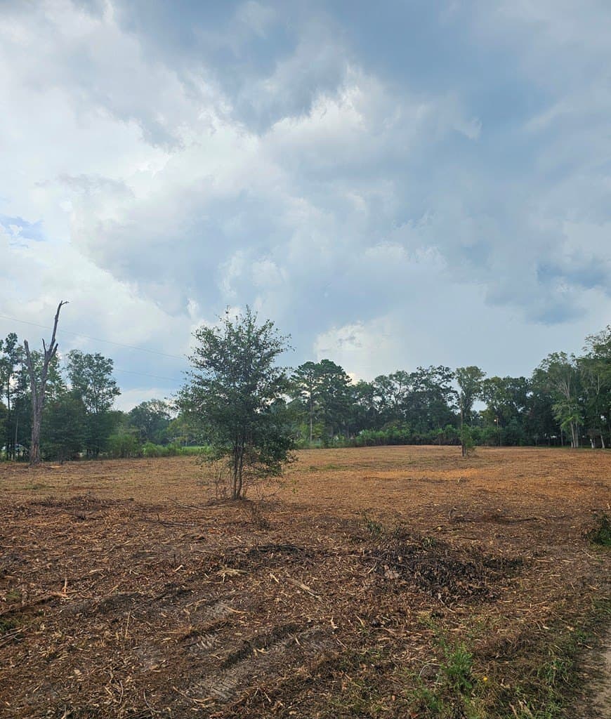 2 acres in Texas County gallery image 4