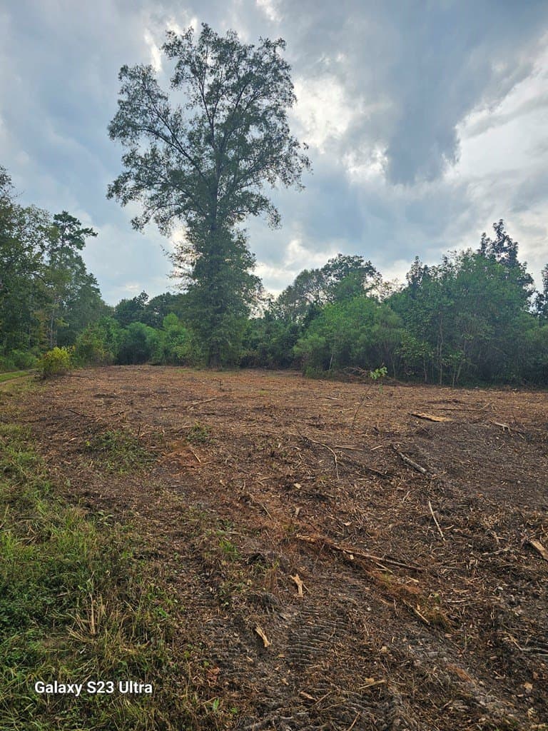 2 acres in Texas County - photo 8