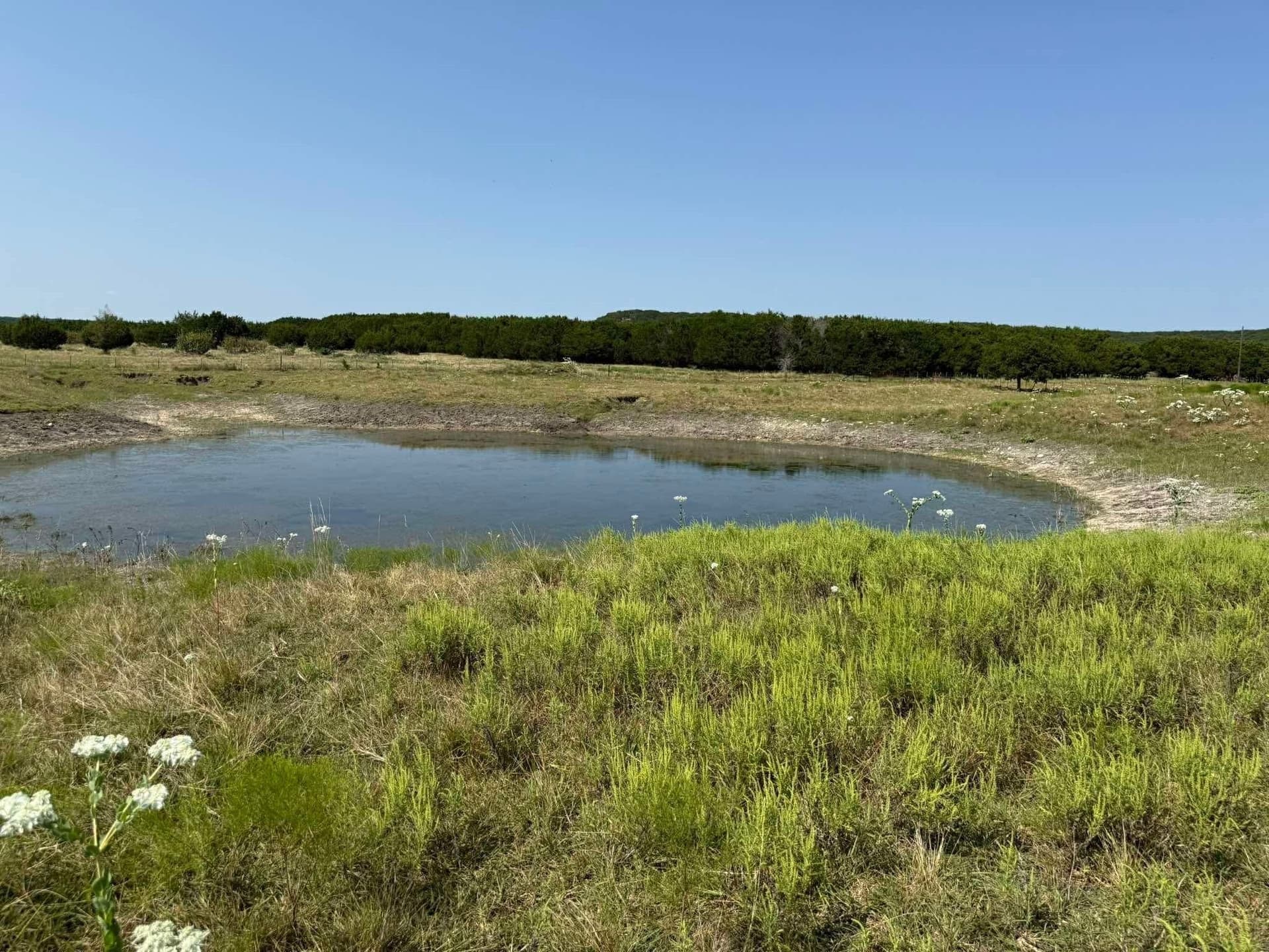 11 acres in Bosque County gallery image 2