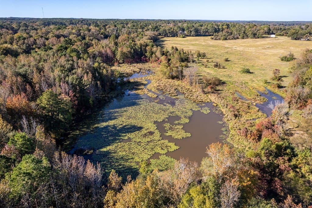 69.57 acres in ANDERSON County gallery image 3