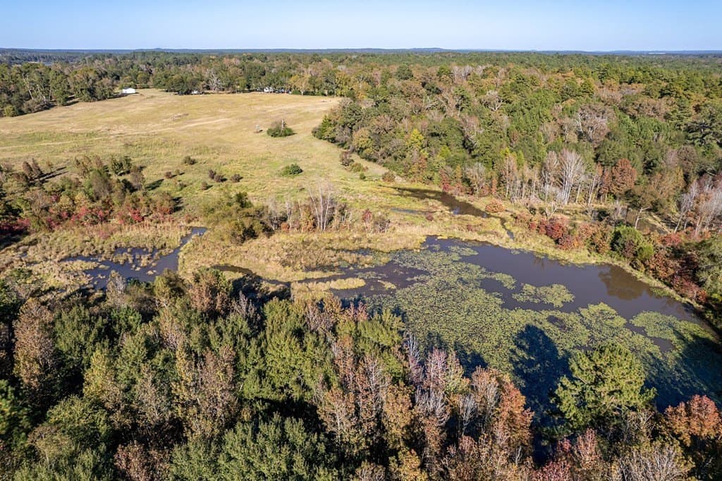 69.57 acres in ANDERSON County gallery image 4