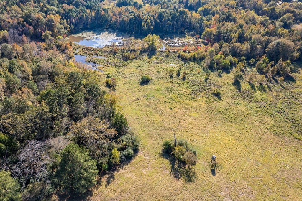 69.57 acres in ANDERSON County gallery image 2