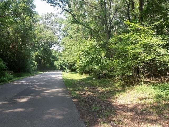 0.45 acres in Gregg County - photo 2