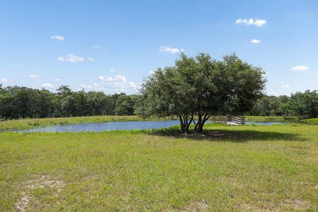 35.31 acres in Fayette County - photo 26