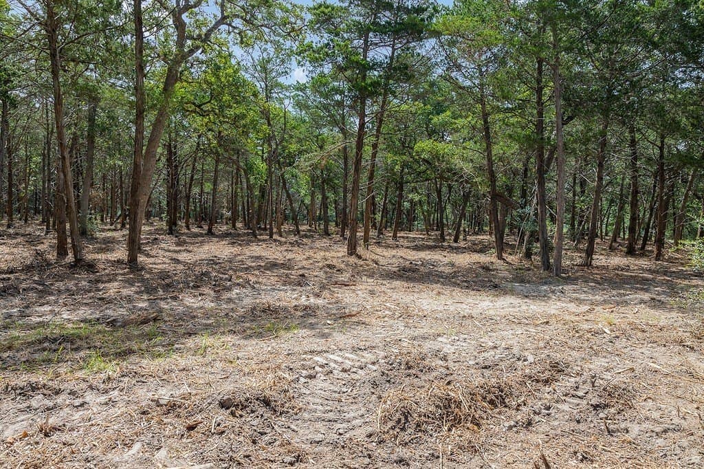 35.31 acres in Fayette County - photo 28
