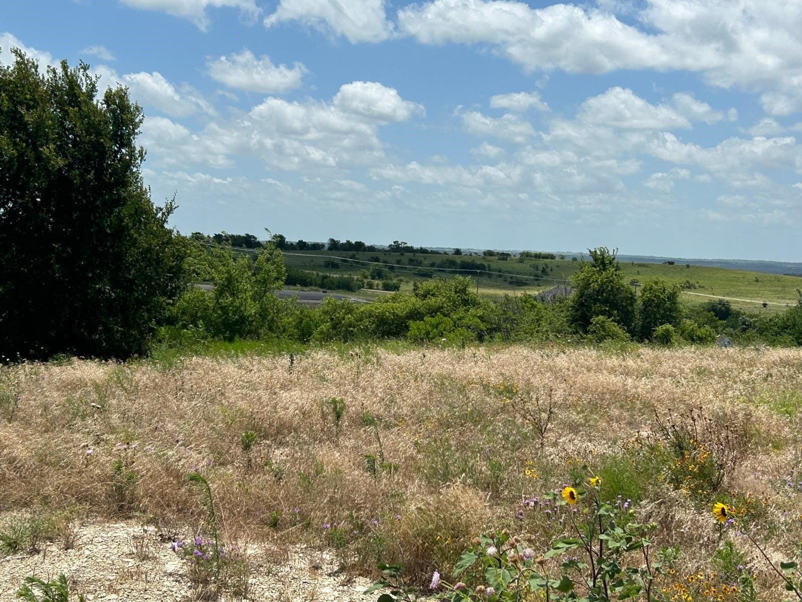 1.64 acres in Hood County - photo 4