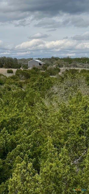 24.75 acres in Gillespie County gallery image 2