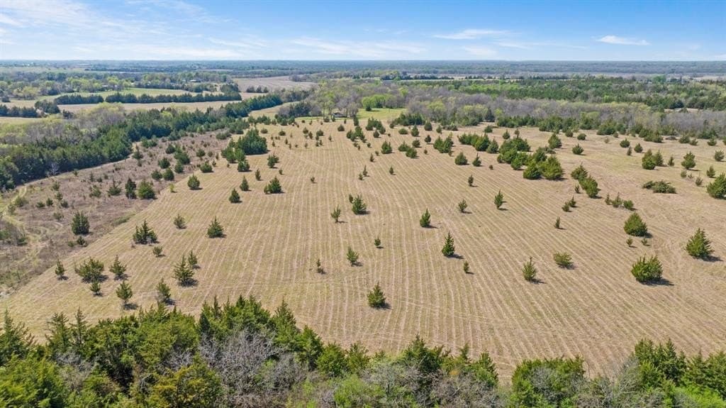 6.75 acres in Lamar County featured view