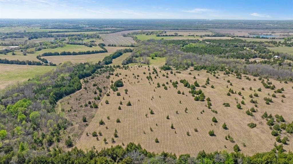 6.75 acres in Lamar County gallery image 4