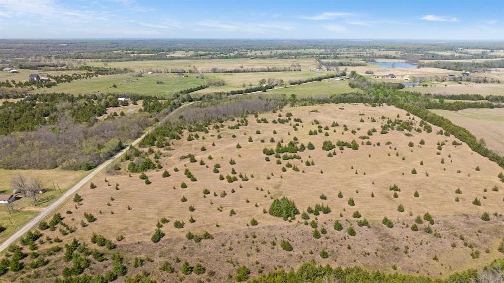 6.75 acres in Lamar County gallery image 3