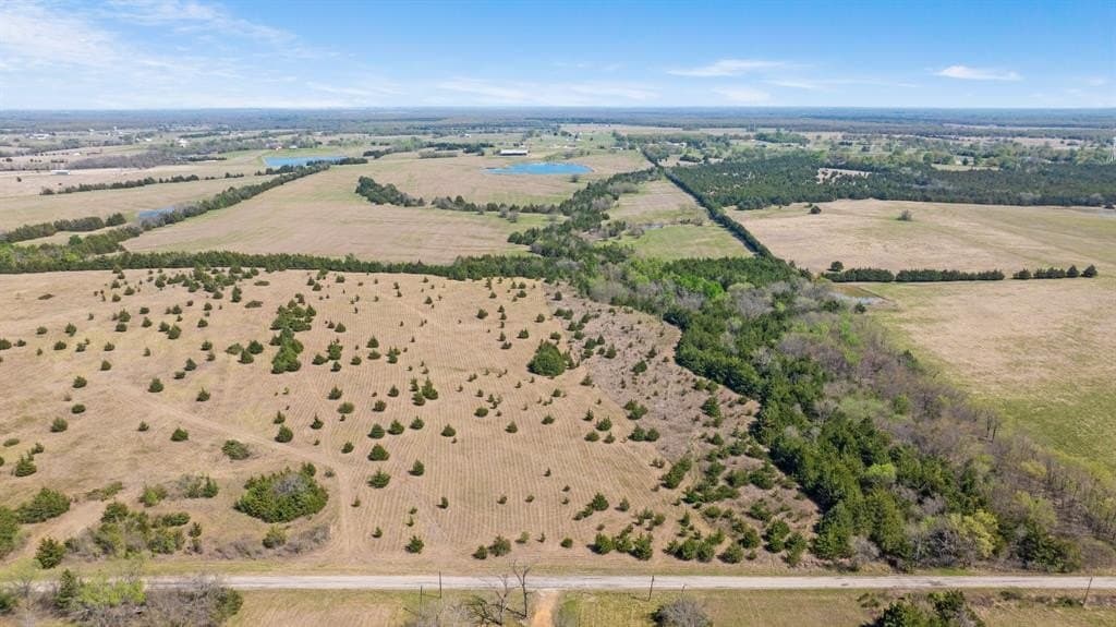 6.75 acres in Lamar County gallery image 2