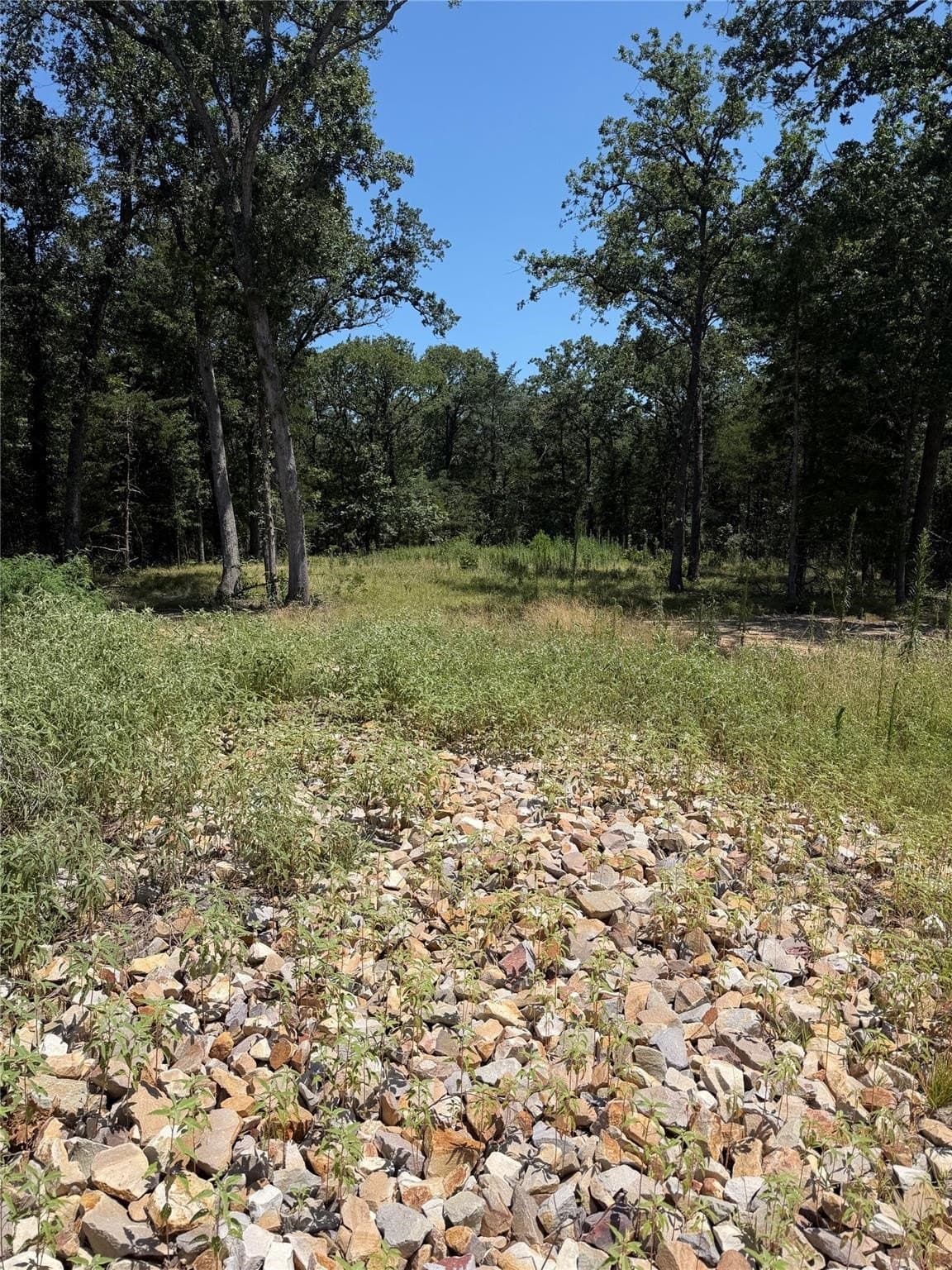 6 acres in Hunt County - photo 5