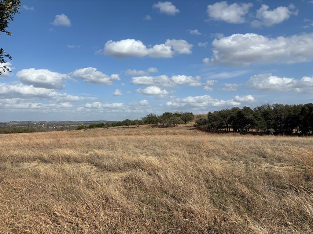 10.01 acres in Gillespie County gallery image 4