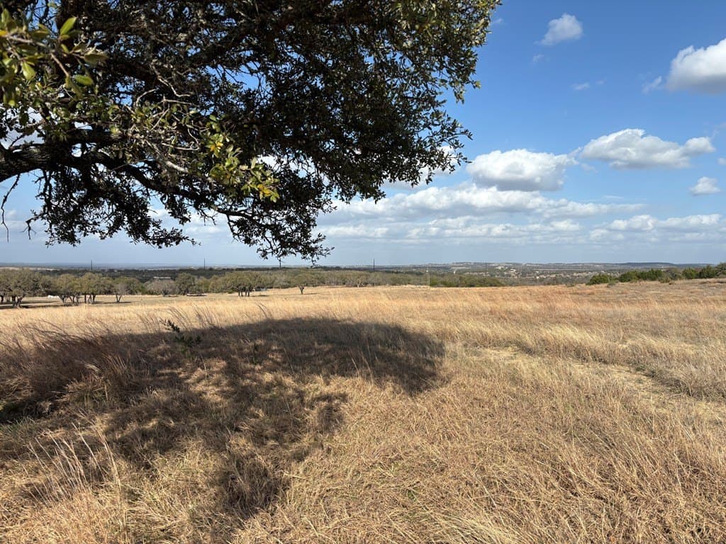 10.01 acres in Gillespie County gallery image 3