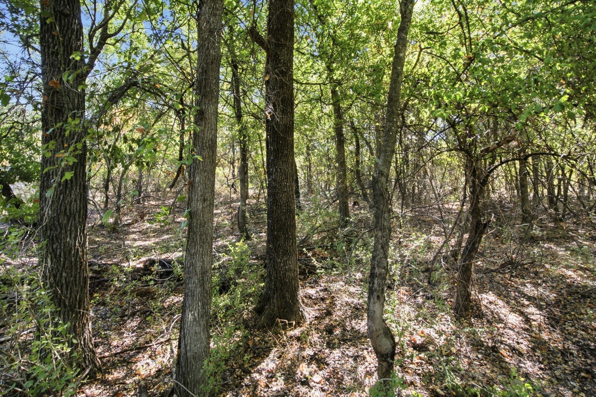 5.08 acres in Parker County - photo 16
