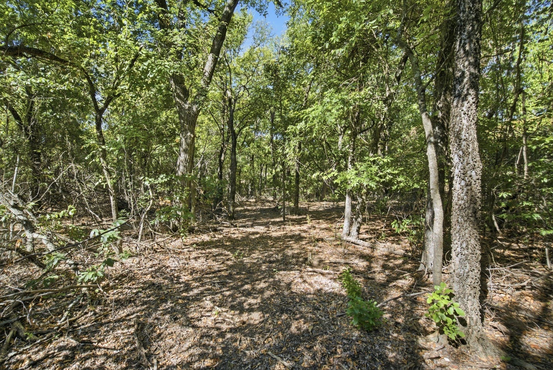 5.08 acres in Parker County - photo 17