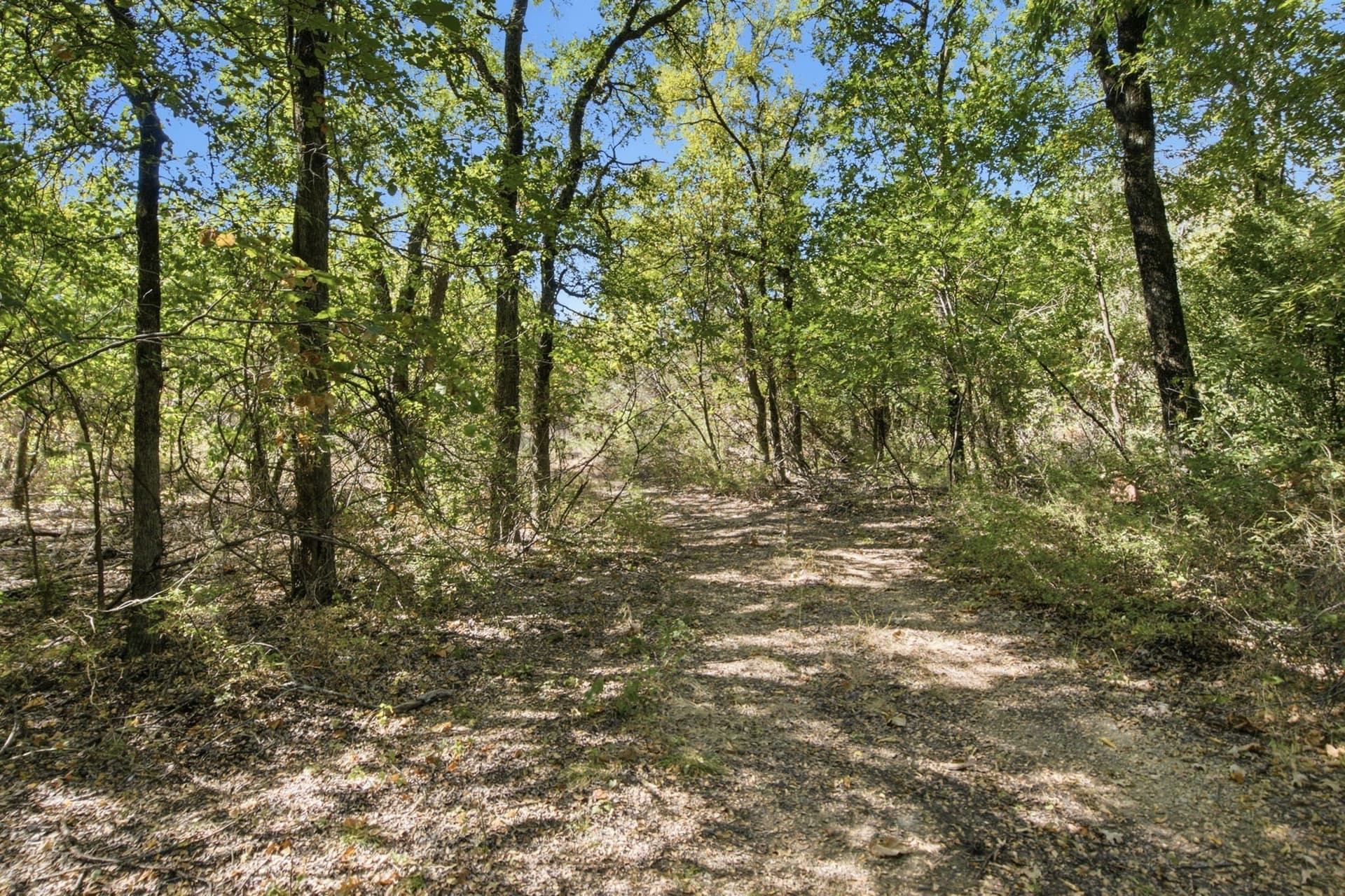 5.08 acres in Parker County - photo 18