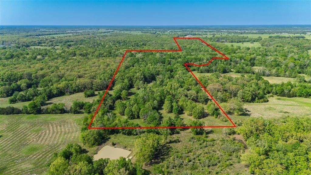 156.54 acres in Hopkins County gallery image 3