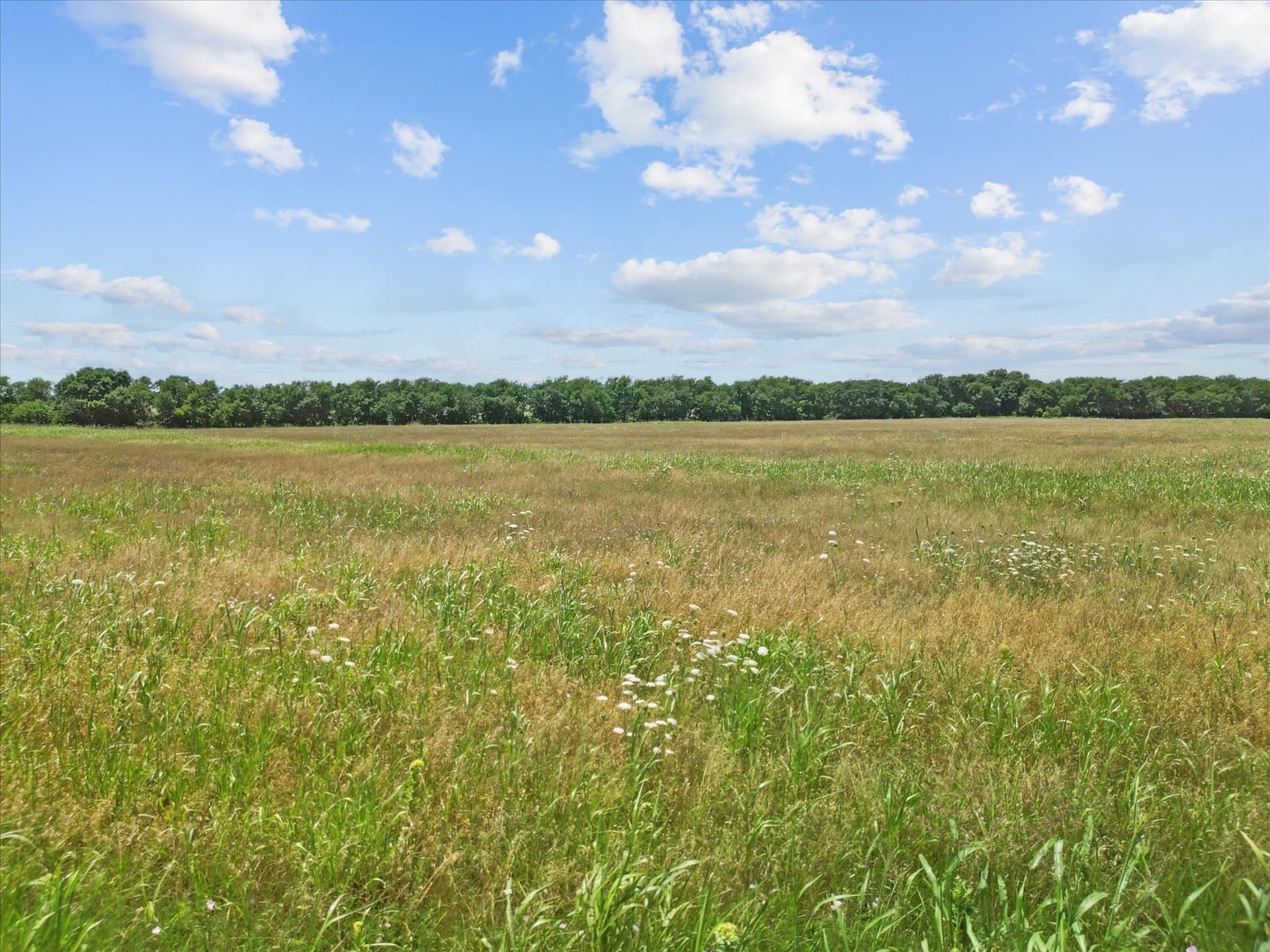 1.7 acres in Hunt County - photo 12