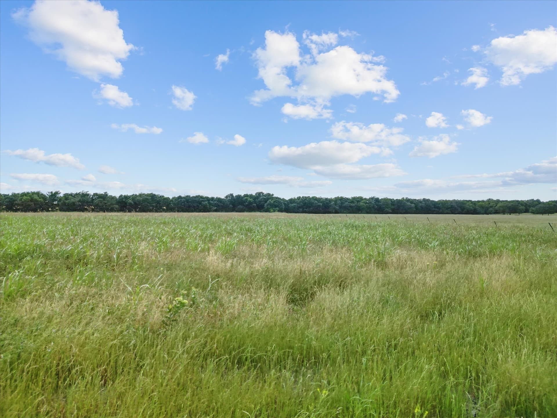 1.7 acres in Hunt County - photo 13